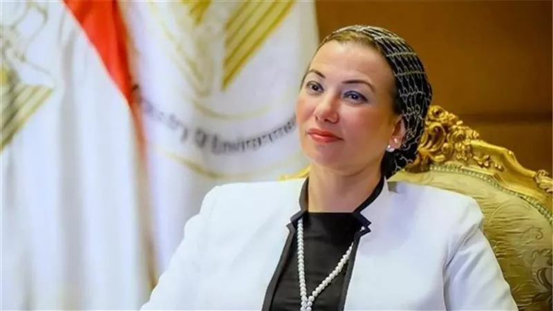 “البيئة” تحقق في واقعة إلقاء خراف نافقة في مياة البحر الأحمر