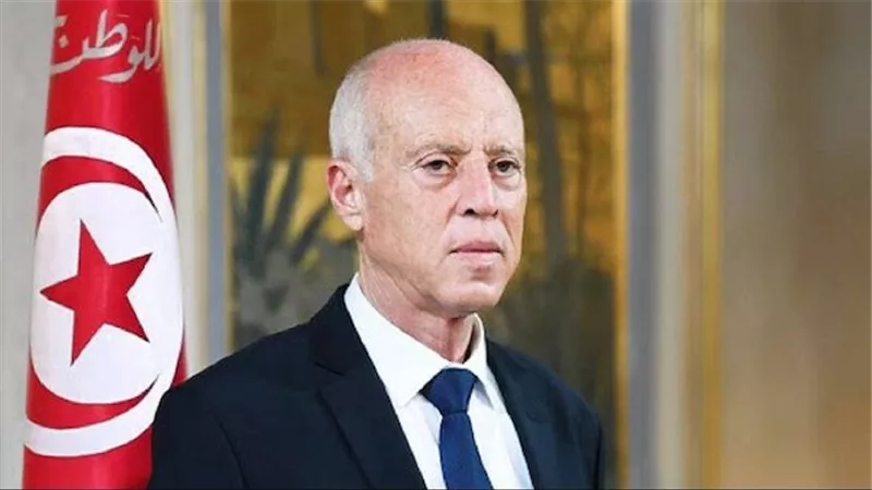  قيس سعيد يؤكد رفض أي تدخلات خارجية في شؤونهم الداخلية أو التعدي على قوانين بلادهم