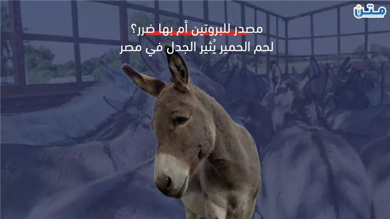 مصدر للبروتين أم بها ضرر.. 