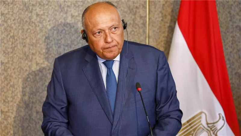 وزير الخارجية يناقش مع رئيس مفوضية الإتحاد الأفريقي التطورات في السودان