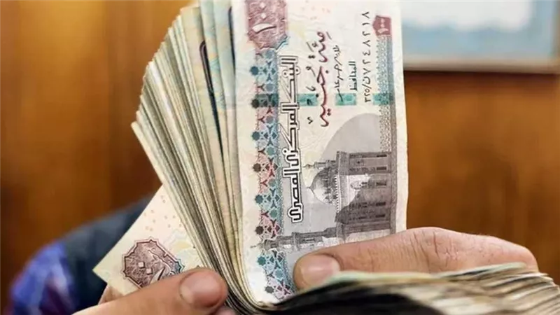 رابط يوضح كيفية الاستعلام عن زيادة المعاشات بعد قرارات الرئيس السيسي
