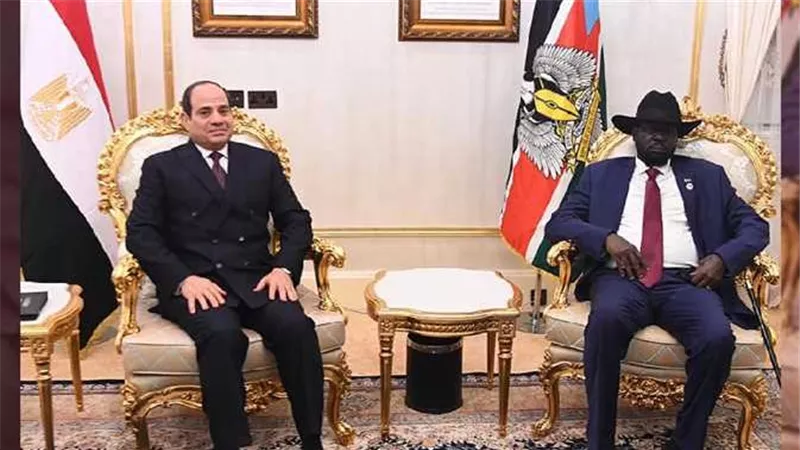 مصر وجنوب السودان تعرضان الوساطة بين الأطراف السودانية
