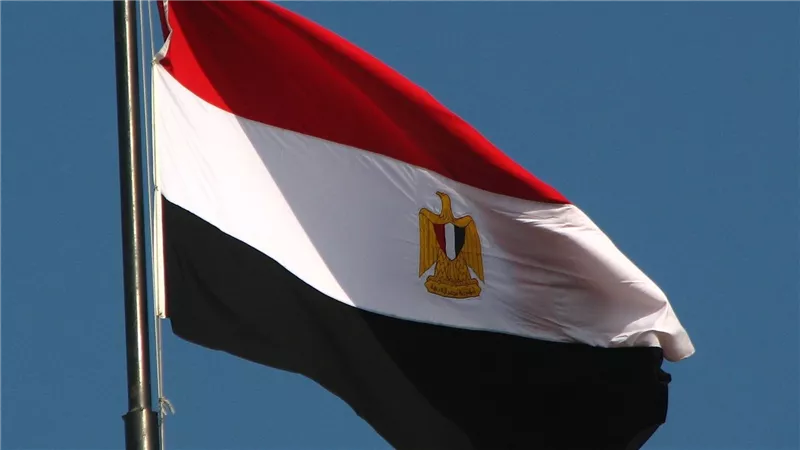 برلماني مصري: احتفالية شمال سيناء انتصار لجهود الدولة في عودة الأمن والاستقرار بها