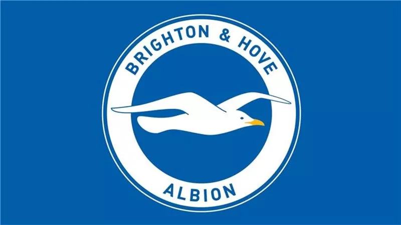 برايتون Brighton يعلن أولى صفقاته الصيفية للموسم الحالي 2023