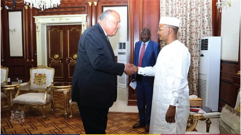 مصر وتشاد تتفقان على تنسيق المواقف حيال الأزمة السودانية