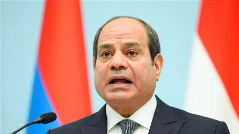 الرئيس السيسي يدعو لحل أزمات دول إفريقيا 