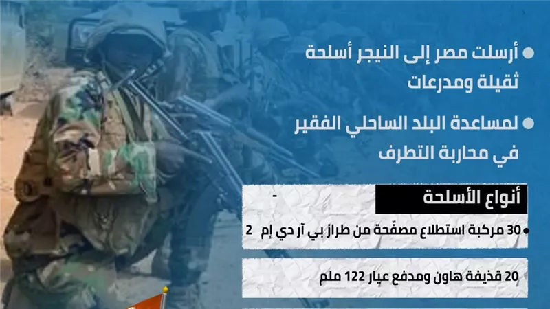 مصر تقف بجوار النيجر لمكافحة التطرف (انفوجراف)