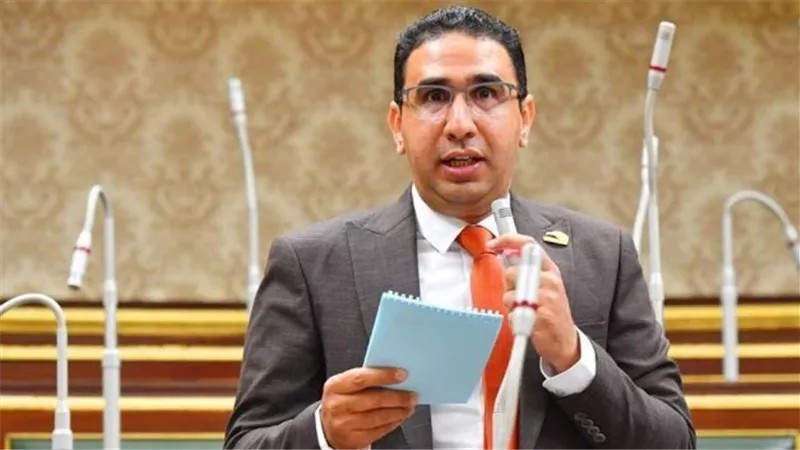 برلماني مصري: نتوقع أن تنتهي قمة دول جوار السودان إلى وقف الاقتتال بين العناصر السودانية