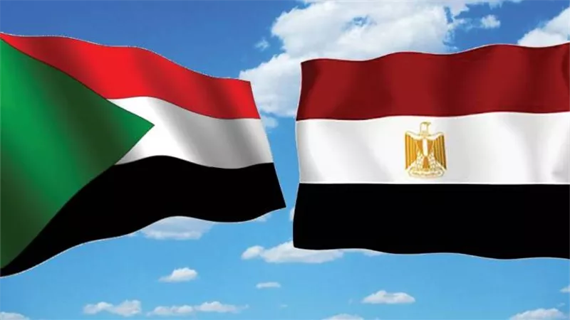برلماني: استضافة مصر لقمة دول جوار السودان تسهم في وضع آليات فاعلة لتسوية الأزمة السودانية