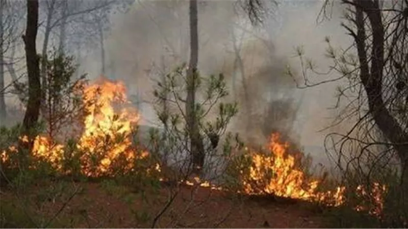 اندلاع حرائق بجنوب لبنان بسبب قصف إسرائيلي 