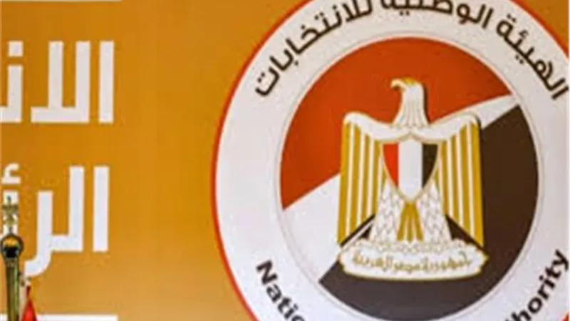 الانتخابات الرئاسية.. كيفية الحصول على لجنة الانتخابات بالرقم القومي (رابط)