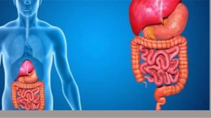 علاج التلبك المعوي منزليا في عيد الأضحى 