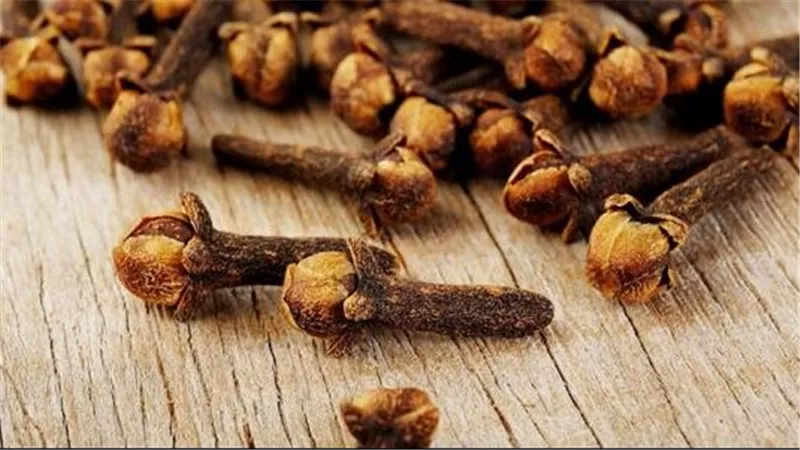 فوائد القرنفل للأسنان واللثة.. يسكن الألم ويمنع العدوى لهذا السبب