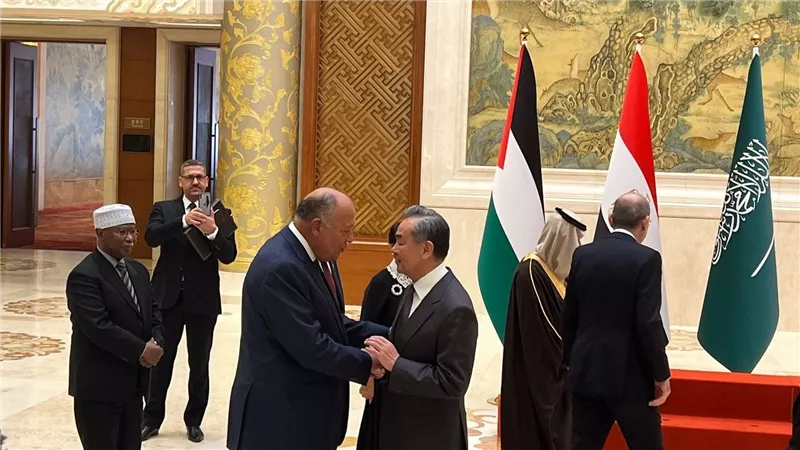سامح شكري وأعضاء اللجنة الوزارية يلتقون ببكين نائب الرئيس الصيني ووزير الخارجية