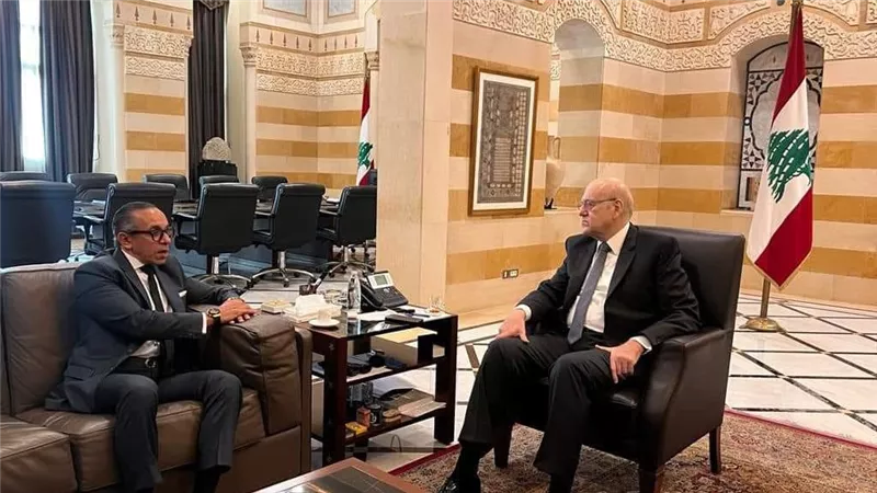 لقاء سفير مصر لدى بيروت مع رئيس حكومة تصريف الأعمال اللبنانية