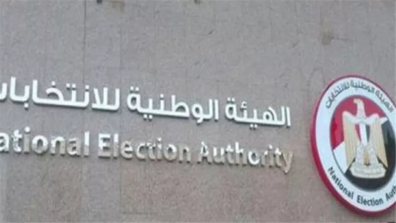 استاذ علوم سياسية: الهيئة الوطنية للانتخابات قامت بدور متميز (فيديو)