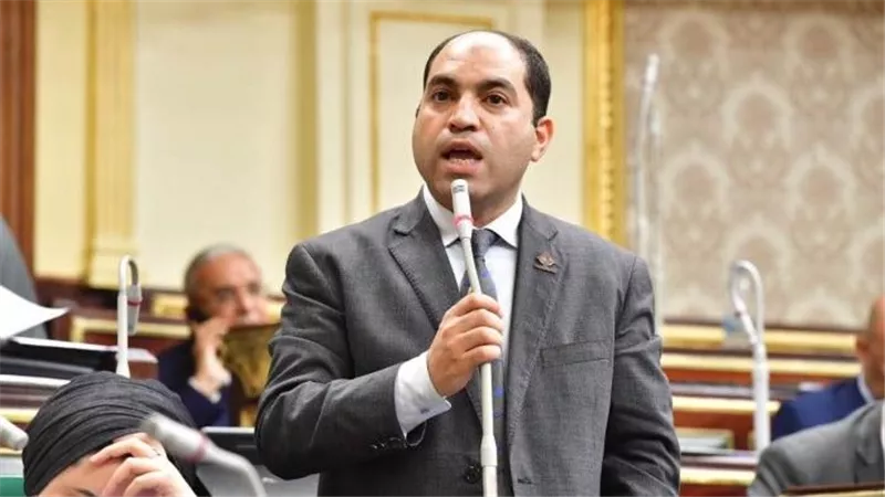 برلماني مصري: الإقبال في اليوم الأول للانتخابات الرئاسية فاق التوقعات