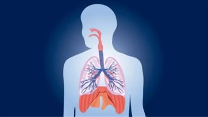 هل هناك طرق أخرى لعلاج التهاب الرغامى الجرثومي البكتيري دون استخدام المضادات الحيوية؟