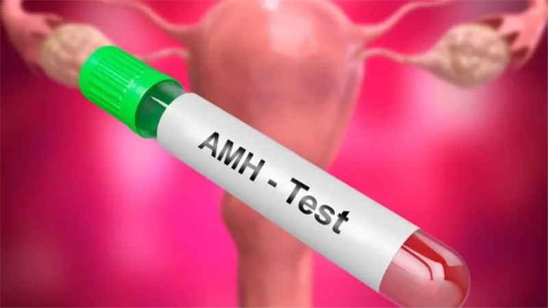 تحليل مخزون المبيض AMH.. متى يتم إجرائه وما هي النسب الطبيعية له؟