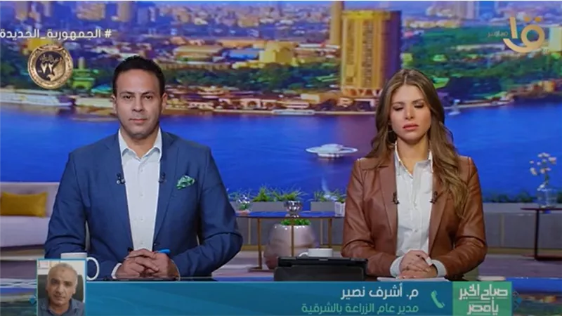  مدير عام الزراعة بالشرقية يفجر مفاجأة بشأن زراعة القمح (فيديو)