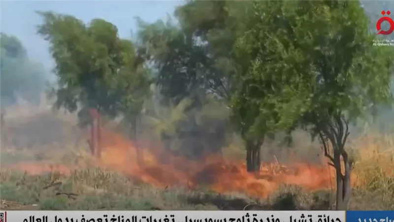 حرائق في تشيلي وندرة ثلوج بسويسرا.. تغيرات المناخ تعصف بدول العالم (فيديو)