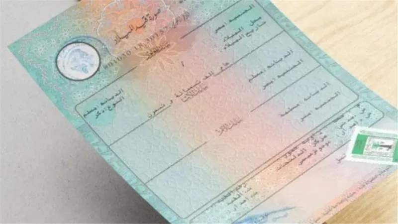 كيفية إصدار شهادة ميلاد مميكنة لأول مرة أونلاين من مصر الرقمية