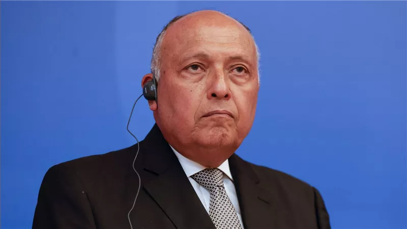 مصر.. سامح شكري يلتقي القائم بأعمال وزير خارجية الصومال