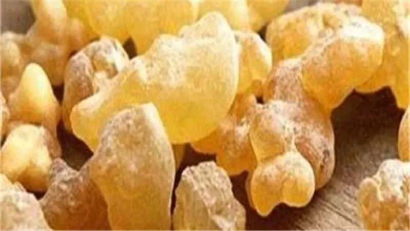 فوائد شرب منقوع لبان الدكر.. هل يناسب الحوامل؟ 