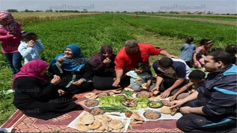 في شم النسيم.. كيف تقضي يوم ربيعي دون مشاكل صحية؟