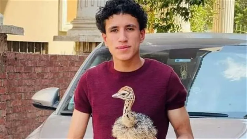 لقب بأصغر رجل أعمال.. أبرز المعلومات حول يوسف العدلي مربي النعام