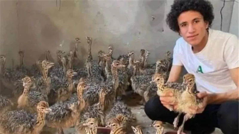 سبب وفاة يوسف اصغر مربي نعام.. أبرز ردود الفعل
