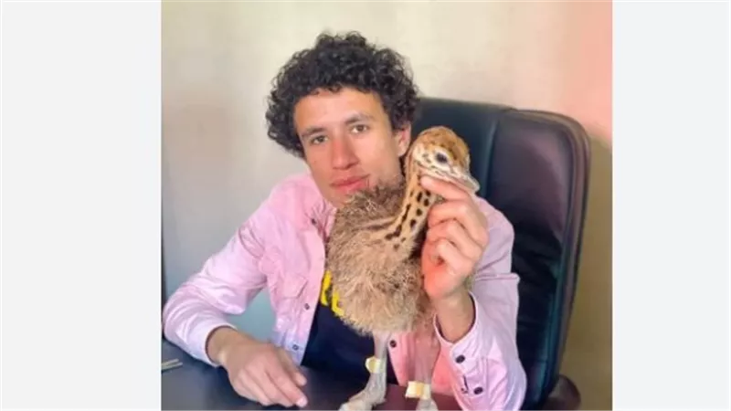 بدأ مشروعه بكتكوت واحد.. من هو Youssef يوسف اصغر مربي نعام.. وآخر ما كتبه؟ (دراسته)