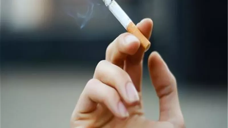 سلطات مدينة ميلانو الإيطالية تحظر التدخين في الأماكن العامة اعتبارًا من أول يناي ر