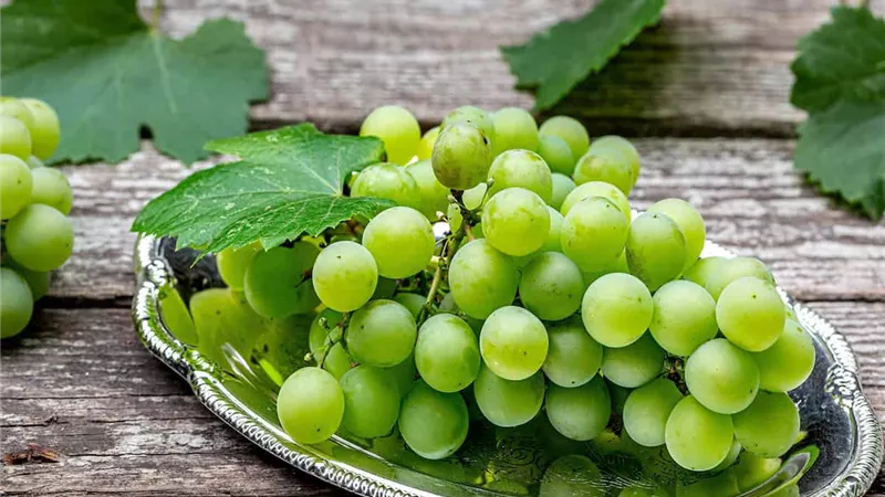 العنب مفيد أم مضر لمرضى السكري؟