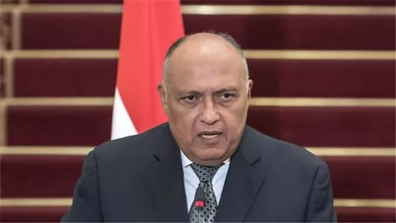 سامح شكري: مصر وقبرص حريصتان على تعزيز العلاقات الثنائية بكافة المجالات