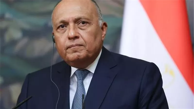 شكري يتوجه إلى روسيا للمشاركة في اجتماع وزراء خارجية تجمع بريكس