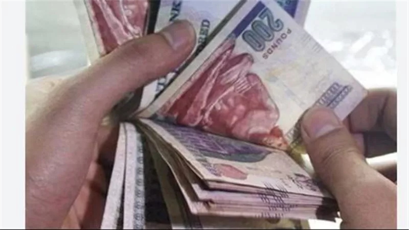 خطوات الاستعلام عن معاشات شهر أغسطس 2024.. جميع الشرائح 