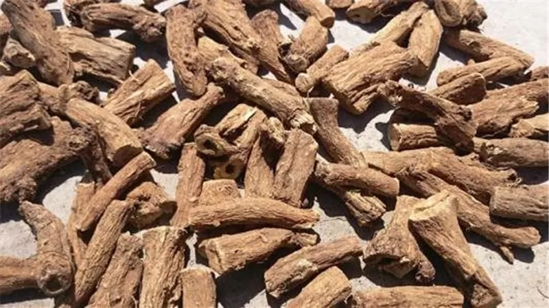 فوائد القسط الهندي للعلاقة الحميمة