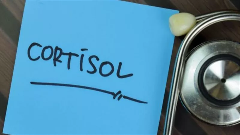 6 طرق لخفض مستويات الكورتيزول.. تخلص من التوتر في الحال
