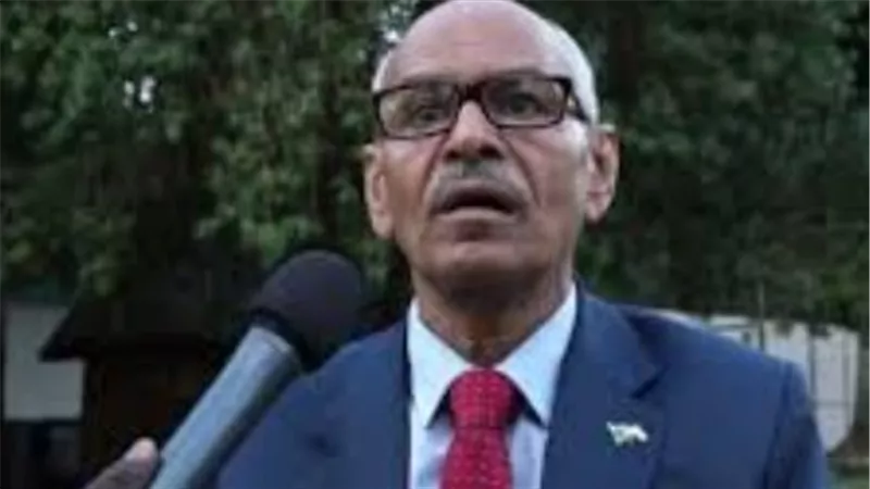وزير خارجية السودان: نثق فى دور مصر وحكمتها فى التعامل مع الأزمة السودانية