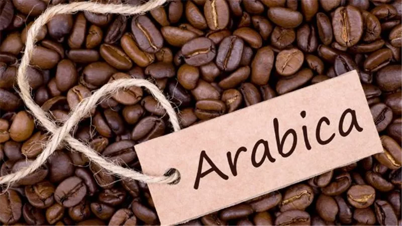 منها أرابيكا.. أسعار القهوة تسجل زيادة 40% هي الأعلى مستوى لها منذ 13 عاما 