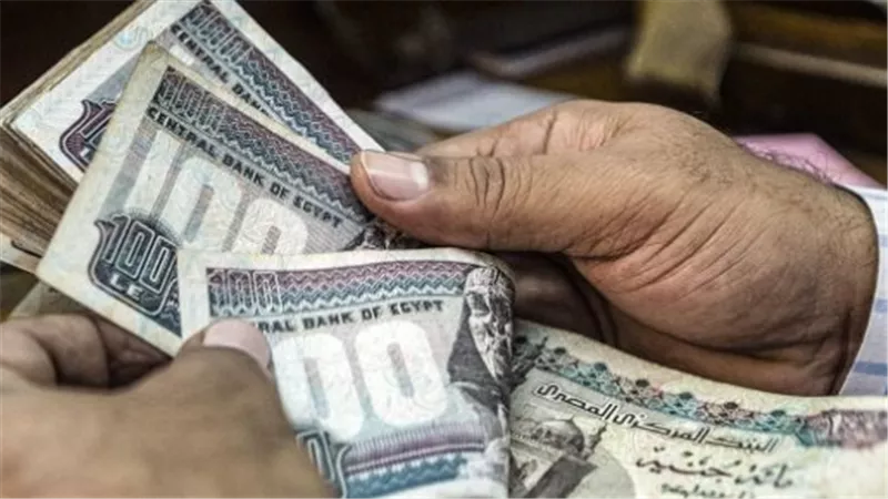 موعد صرف معاشات شهر نوفمبر 2024.. جميع الشرائح 