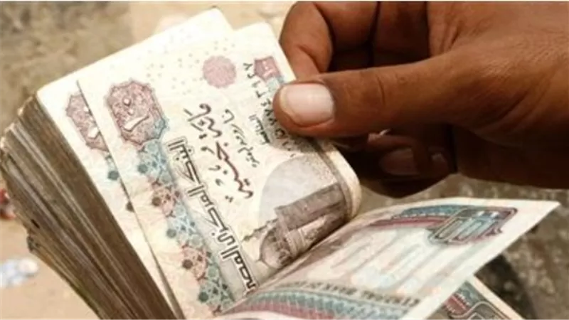 شروط المعاش المبكر لمواليد الثمانينات