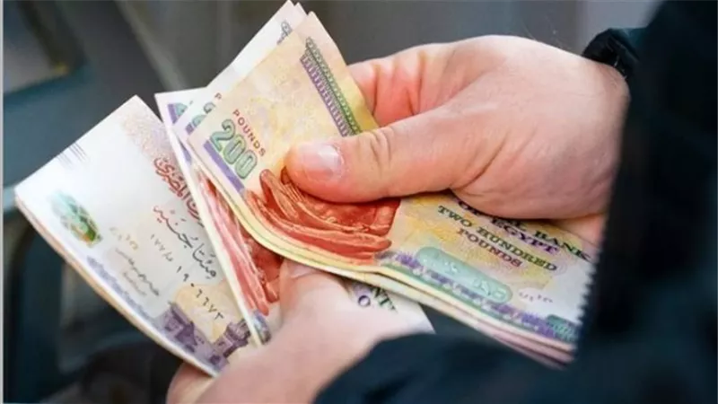حقيقة زيادة معاشات ديسمبر 2024