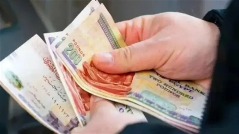 رسميًا.. موعد صرف معاشات شهر ديسمبر 2024 وخطوات الاستعلام