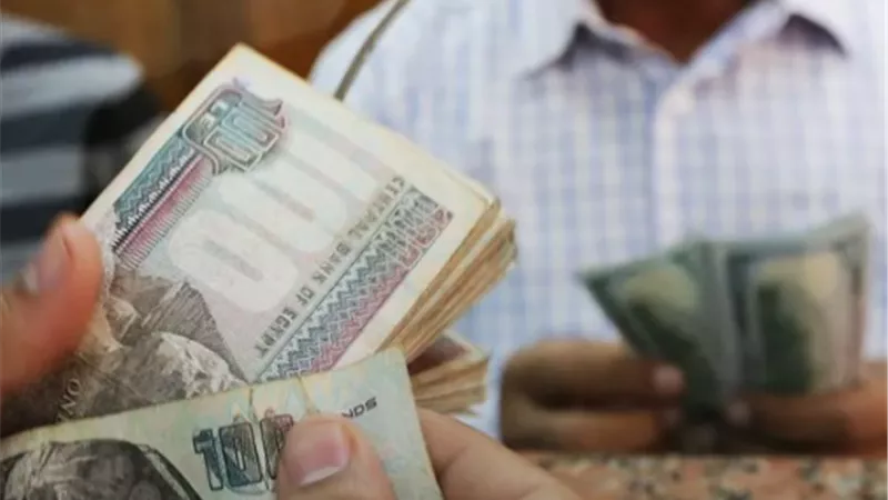 حقيقة زيادة المعاشات لشهر ديسمبر 2024