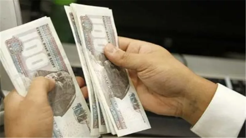 كيفية الاستعلام عن معاشات شهر ديسمبر 2024