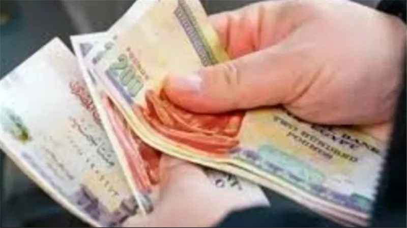 معاشات شهر ديسمبر 2024.. طريقة الاستعلام