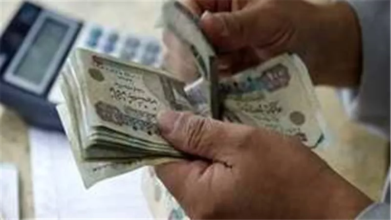 طرق الاستعلام عن معاشات شهر يناير 2025