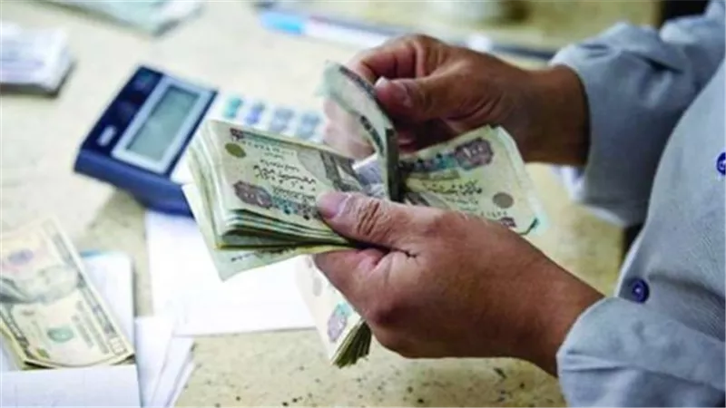 رابط الاستعلام عن معاشات يناير 2025.. والحد الأدنى والأقصى لأجر الاشتراك التأميني